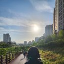 손바닥공원 농구장 | 당근