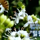 서산기쁨농장 이미지