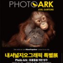종만농장 | 전시 &#34;내셔널지오그래픽특별전&#34; 후기