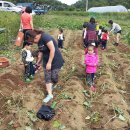 위즈캐슬 이미지