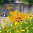 현치과기공소 이미지