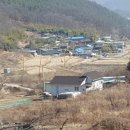 수골 농장 네이버블로그