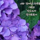 금앤옥통나무펜션 네이버블로그