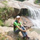 보산초등학교 이미지