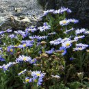 날마다 소풍 이미지