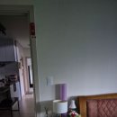 느티나무집펜션 이미지