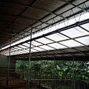 우리가축약품 이미지