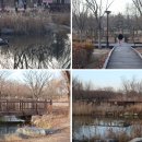 율하체육공원 생태연못 이미지