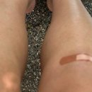 사지목 나무그늘 이미지