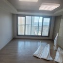 일동알파 이미지