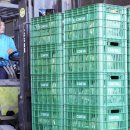 큰사랑농장 이미지