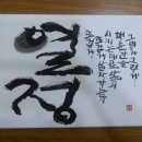 금성백조100동