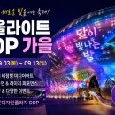 서울라이트 DDP 2026 가을 기간·시간·무료 관람 정보 참고하세요 이미지