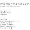 (주)패뷸러스 Daum카페