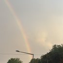 은산빌딩 | 포카라다이아몬드 코스모웨딩밴드 수령 후 후기! 진주귀걸이