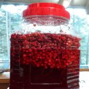 단풍나무펜션민박 이미지