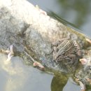 산과 자연의 쉼터 이미지