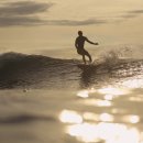 스테이 발리 이미지