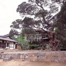 고향민속마을 이미지