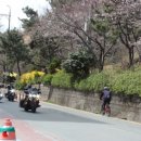 태봉천 이미지