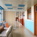 솔개초등학교 이미지