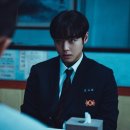 찬란비글로벌