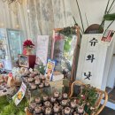 청학로54번길109 | 왕수플레와 두쫀쿠가 맛있는 별내 카페 슈어와이낫 내돈내먹 후기