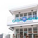 까사밍고 이미지