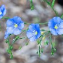 거미줄 - 정호승 이미지