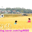 정민농장 이미지