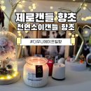 은은한 향초캔들 만들기 | 향초 제로캔들 천연소이캔들향초 다우니에이프릴향 솔직한 사용 후기