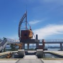 진도모터스 이미지