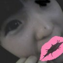 백두카페 Daum카페