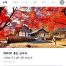 커피곰여행자 | 공주방문자센터 스탬프투어 완주하고 역대급 퀄리티 기념품 싹 쓸어온 후기✨ (ft. 톡톡블럭&머그컵)