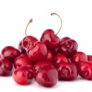 진원유통 이미지