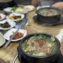 우가네흑염소