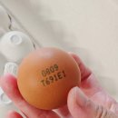 쉴만한 농원 이미지