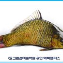 생연미술학원