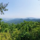 불당골세천 네이버블로그