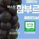 허허포도농원