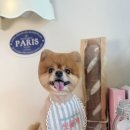 씻을개 네이버블로그