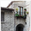 평화의숨결 이미지