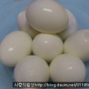 봄나들이 도시락 만들기 이미지