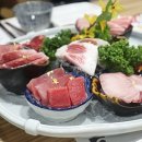 군참치 이미지