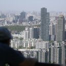 강남-266 이미지