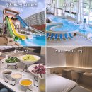 휘닉스파크 리조트 블루캐니언 워터파크 호텔조식 패키지 특가 가격 강원도 평창 물놀이 숙소