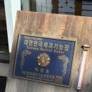 더반 힐 글램핑 | 오빠랑 첫 글램핑, 보령으로 레츠꼬 🏕️🎶🤍(더반힐 글램핑)