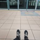 상봉Sea(바다)마트 | under the sea / 내가 방어 씨를 말려...