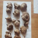 아침농원 이미지