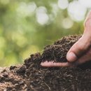 청마농장2 이미지